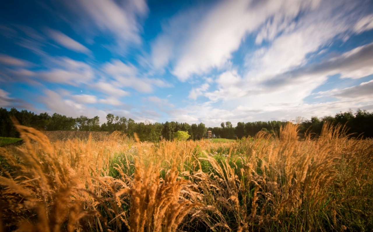 Najaarswandeling door de Broekpolder